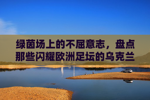 绿茵场上的不屈意志，盘点那些闪耀欧洲足坛的乌克兰球星