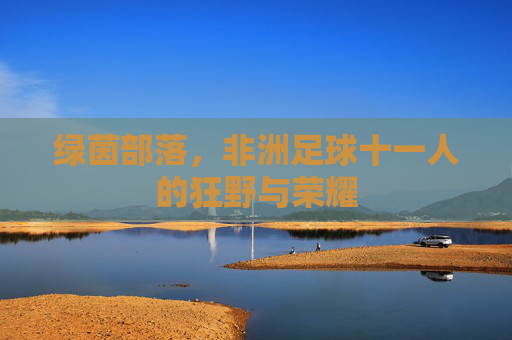 绿茵部落,非洲足球十一人的狂野与荣耀
