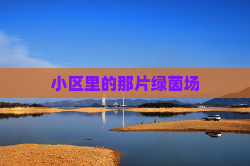 小区里的那片绿茵场