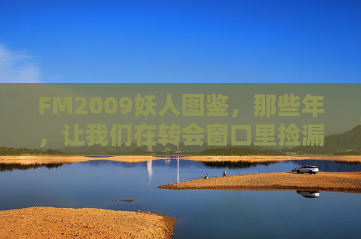 FM2009妖人图鉴，那些年，让我们在转会窗口里捡漏的青春记忆