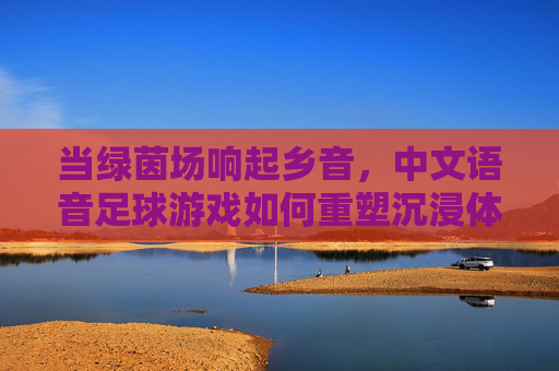 当绿茵场响起乡音，中文语音足球游戏如何重塑沉浸体验