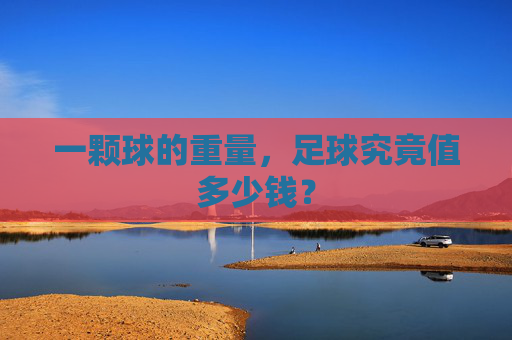 一颗球的重量,足球究竟值多少钱?