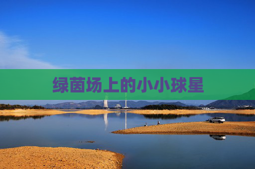 绿茵场上的小小球星