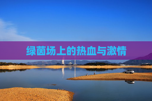 绿茵场上的热血与激情