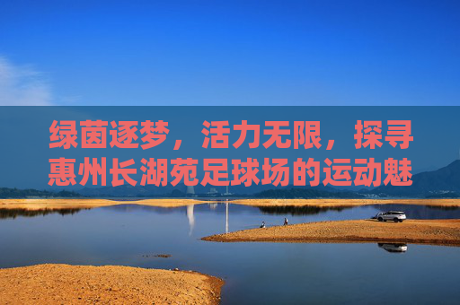 绿茵逐梦，活力无限，探寻惠州长湖苑足球场的运动魅力