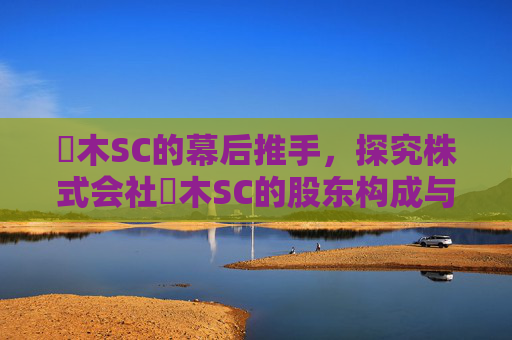 栃木SC的幕后推手,探究株式会社栃木SC的股东构成与社区愿景