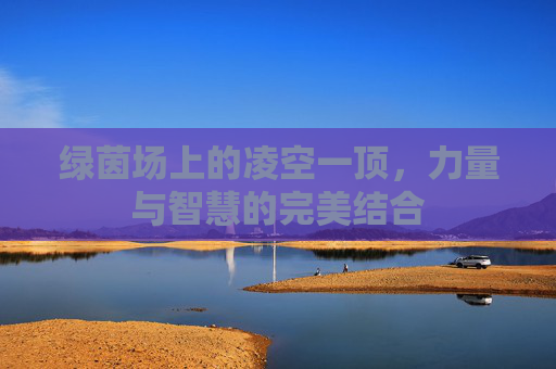 绿茵场上的凌空一顶，力量与智慧的完美结合