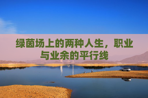 绿茵场上的两种人生,职业与业余的平行线
