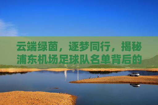 云端绿茵,逐梦同行,揭秘浦东机场足球队名单背后的热血与拼搏