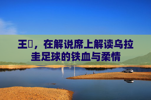 王喆,在解说席上解读乌拉圭足球的铁血与柔情