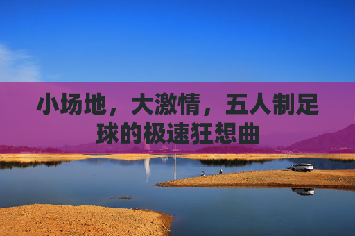 小场地,大激情,五人制足球的极速狂想曲