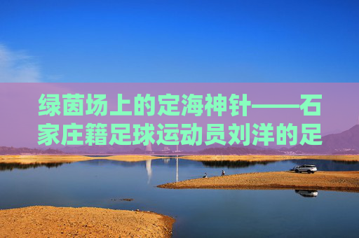 绿茵场上的定海神针——石家庄籍足球运动员刘洋的足球之路