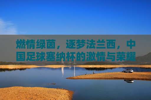燃情绿茵，逐梦法兰西，中国足球塞纳杯的激情与荣耀