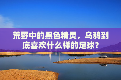 荒野中的黑色精灵,乌鸦到底喜欢什么样的足球?