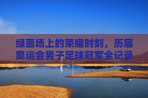 绿茵场上的荣耀时刻,历届奥运会男子足球冠军全记录