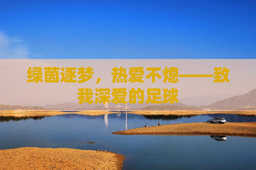 绿茵逐梦,热爱不熄——致我深爱的足球