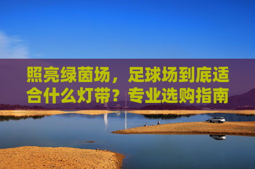照亮绿茵场,足球场到底适合什么灯带?专业选购指南