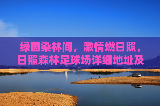 绿茵染林间,激情燃日照,日照森林足球场详细地址及周边攻略