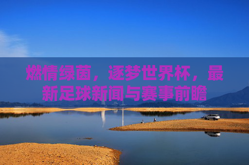 燃情绿茵,逐梦世界杯,最新足球新闻与赛事前瞻