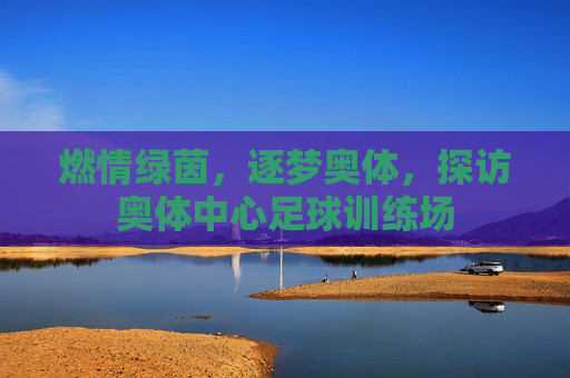 燃情绿茵，逐梦奥体，探访奥体中心足球训练场