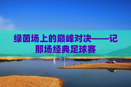 绿茵场上的巅峰对决——记那场经典足球赛