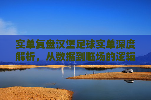 实单复盘汉堡足球实单深度解析,从数据到临场的逻辑验证