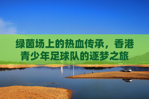 绿茵场上的热血传承,香港青少年足球队的逐梦之旅