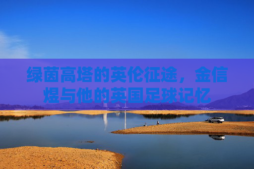 绿茵高塔的英伦征途，金信煜与他的英国足球记忆