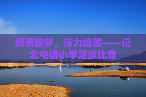 绿茵逐梦,活力绽放——记北屯镇小学足球比赛