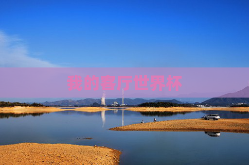 我的客厅世界杯