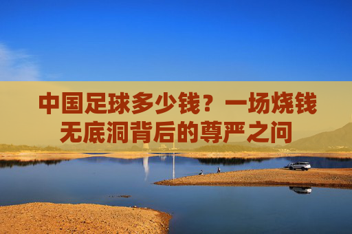 中国足球多少钱？一场烧钱无底洞背后的尊严之问
