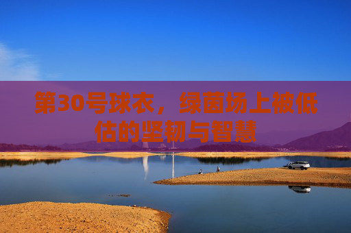第30号球衣,绿茵场上被低估的坚韧与智慧