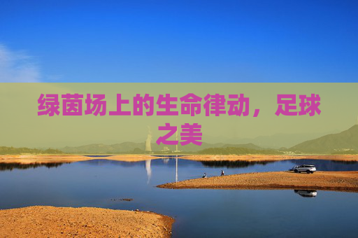绿茵场上的生命律动,足球之美