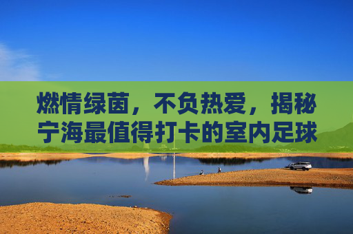 燃情绿茵，不负热爱，揭秘宁海最值得打卡的室内足球场