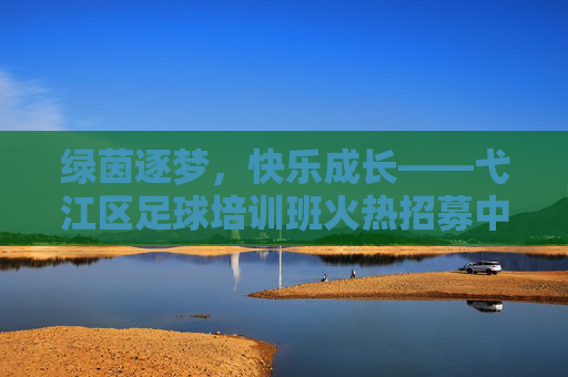 绿茵逐梦,快乐成长——弋江区足球培训班火热招募中!