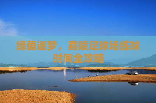 绿茵逐梦，嘉陵足球场练球时间全攻略