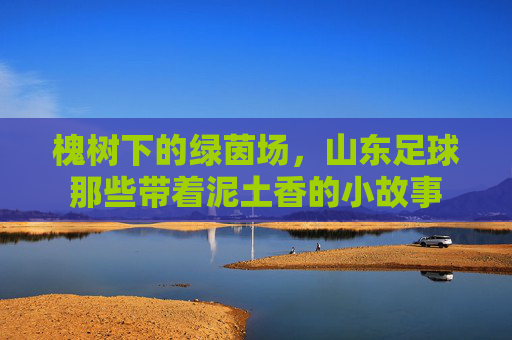 槐树下的绿茵场,山东足球那些带着泥土香的小故事