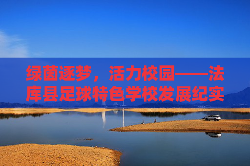 绿茵逐梦，活力校园——法库县足球特色学校发展纪实