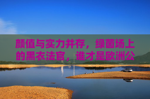 颜值与实力并存,绿茵场上的黑衣法官,谁才是欧洲公认的最美足球裁判?