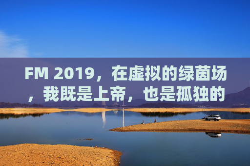 FM 2019,在虚拟的绿茵场,我既是上帝,也是孤独的经理人