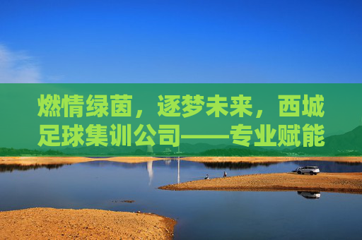 燃情绿茵,逐梦未来,西城足球集训公司——专业赋能,铸就足坛新星