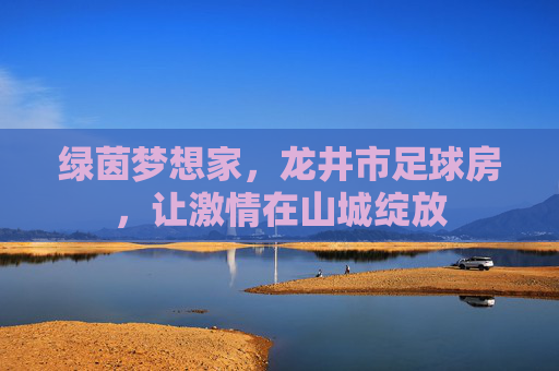 绿茵梦想家,龙井市足球房,让激情在山城绽放