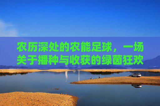 农历深处的农能足球,一场关于播种与收获的绿茵狂欢
