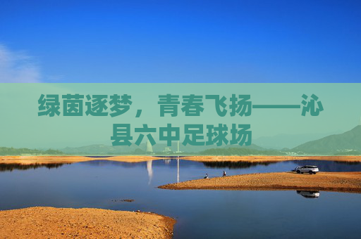绿茵逐梦，青春飞扬——沁县六中足球场