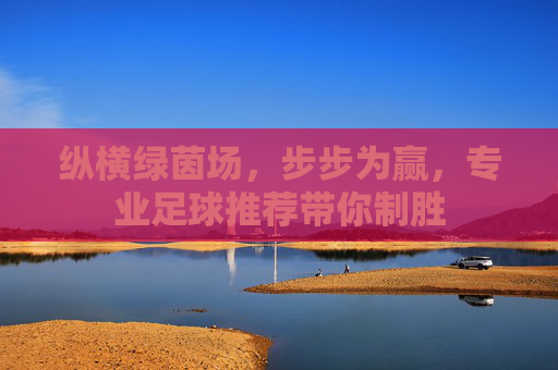 纵横绿茵场,步步为赢,专业足球推荐带你制胜