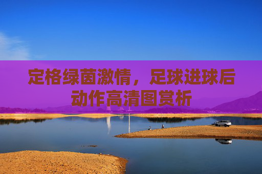 定格绿茵激情,足球进球后动作高清图赏析