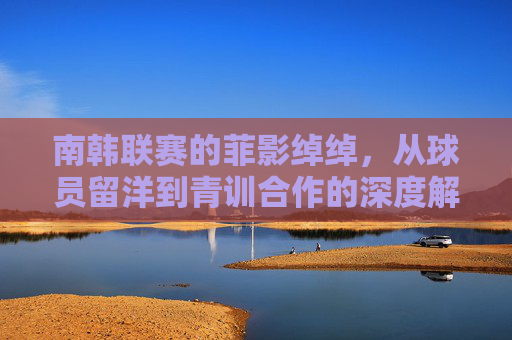 南韩联赛的菲影绰绰,从球员留洋到青训合作的深度解析