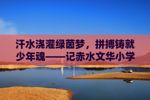 汗水浇灌绿茵梦,拼搏铸就少年魂——记赤水文华小学足球队