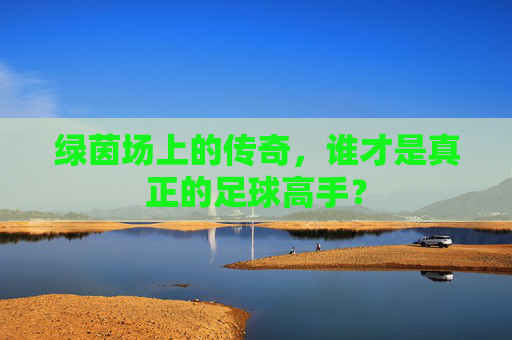 绿茵场上的传奇,谁才是真正的足球高手?