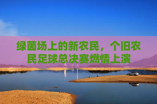 绿茵场上的新农民,个旧农民足球总决赛燃情上演